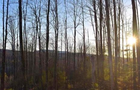 0 Sutton Road, Wheelock, Vermont 05851, USA