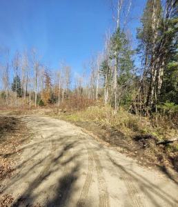 0 Sutton Road, Wheelock, Vermont 05851, USA