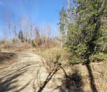 0 Sutton Road, Wheelock, Vermont 05851, USA