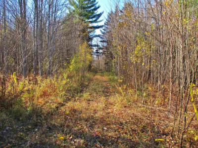 00 Farm Road, Lowell, 佛蒙特州 05847, 美国