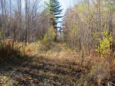 00 Farm Road, Lowell, 佛蒙特州 05847, 美国