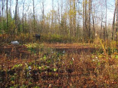 00 Farm Road, Lowell, 佛蒙特州 05847, 美国