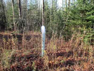 00 Farm Road, Lowell, 佛蒙特州 05847, 美国