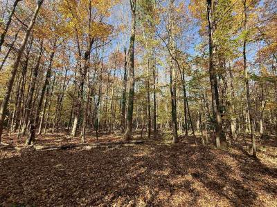 1414 Collins Mill Road, Newport Town, Vermont 05857, USA