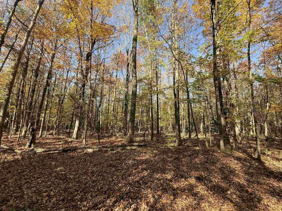 1414 Collins Mill Road, Newport Town, 버몬트 05857, 미국