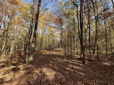 1414 Collins Mill Road, Newport Town, 버몬트 05857, 미국