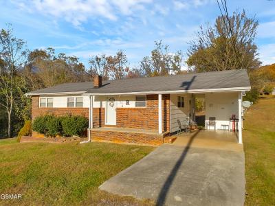 495 Carnation Way, Newport, Tennessee 37821