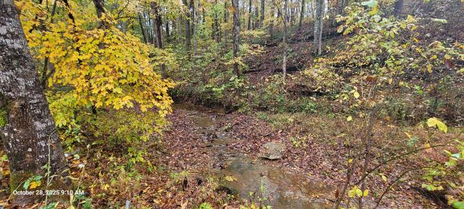 1121 Breeding rd, Edmonton, Kentucky 42129, Stati Uniti