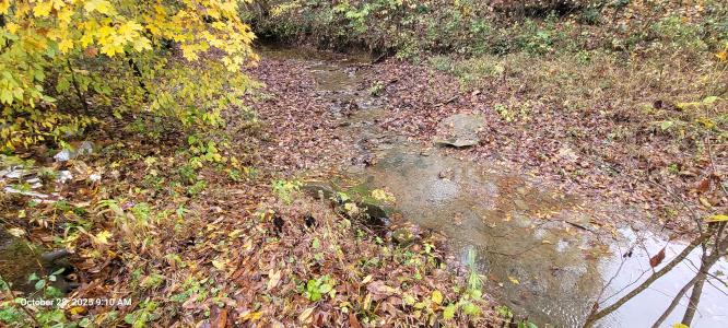 1121 Breeding rd, Edmonton, Kentucky 42129, Stati Uniti