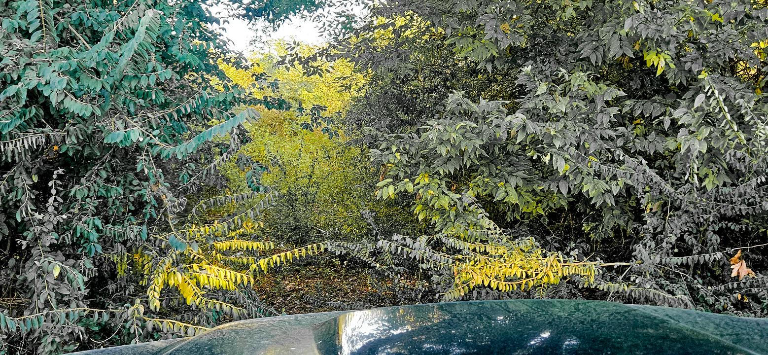 2007 Delta Downs Dr, Vinton, Louisiana 70668, USA