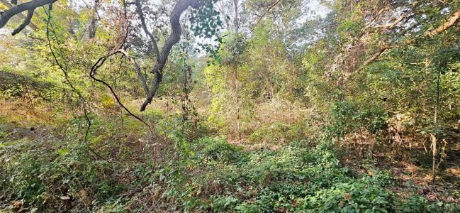 2007 Delta Downs Dr, Vinton, Louisiana 70668, USA