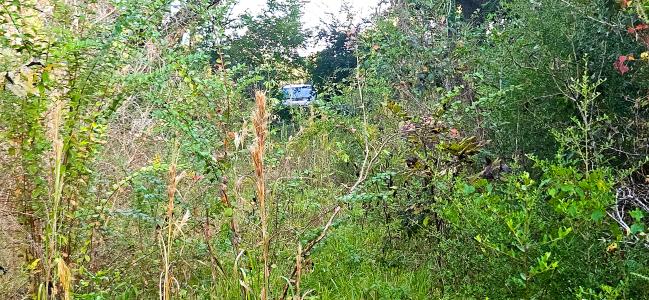 2007 Delta Downs Dr, Vinton, Louisiana 70668, USA