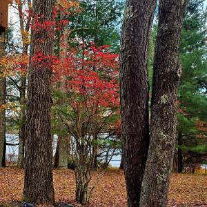 14 Lena Road, Forestburgh, New York 12777