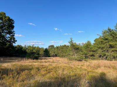 5314  W. US 10, Baldwin, Michigan 49304, Estados Unidos