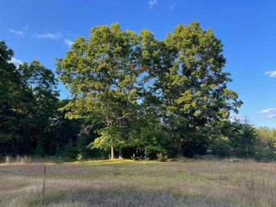 5314  W. US 10, Baldwin, Michigan 49304, Estados Unidos