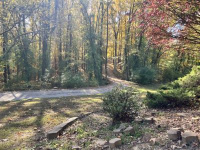 2372 Logan, Murphysboro, Illinois 62966, Estados Unidos