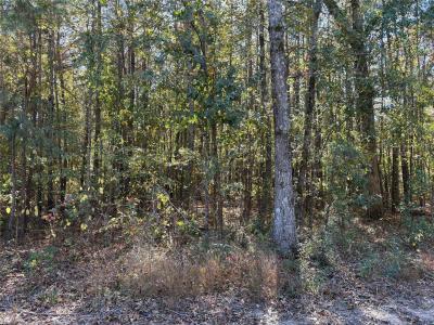 Circle Square, Mooringsport, Луизиана 71060, Соединенные Штаты