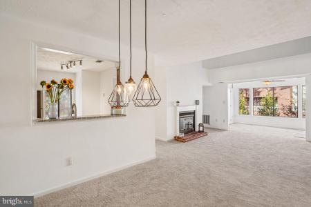 2203 Hunters Run Drive, Reston, Virginia 20191