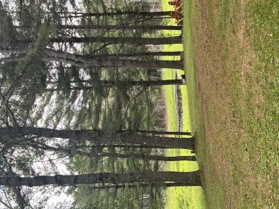 3099 HANSON RD. , Conover, ויסקונסין 54519, ארצות הברית של אמריקה 