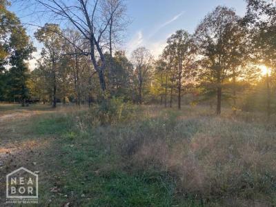 1580 Sierra, Pocahontas, 阿肯色州 72455, 美国