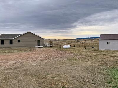 299 Trabing Road, Buffalo, Wyoming 82834