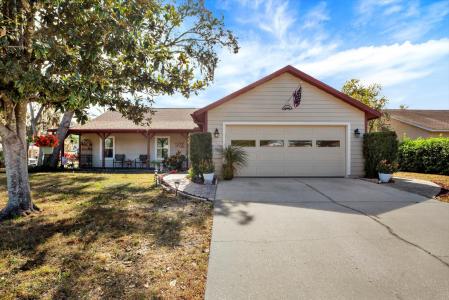 705 Brinton Ct, Brandon, Florida 33511, USA