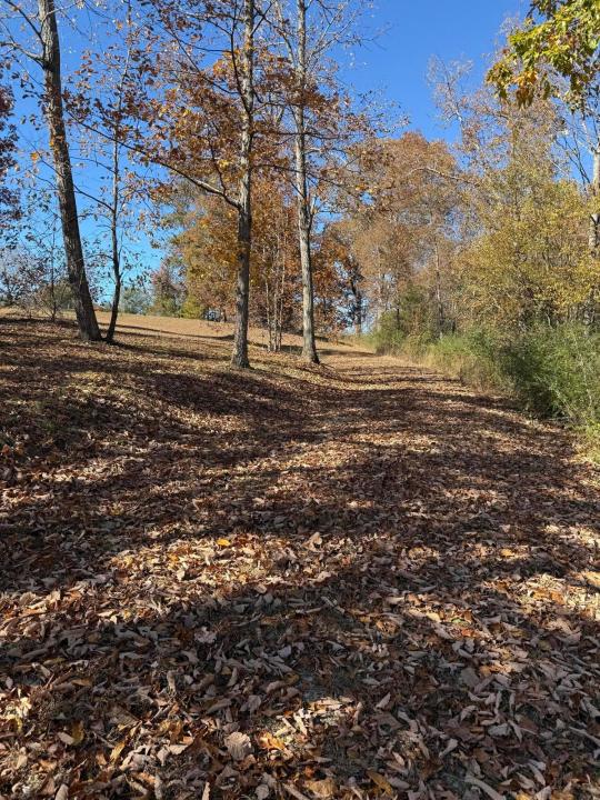 00 Scratch Ankle Road Road, Trenton, Georgia 30752, Estados Unidos