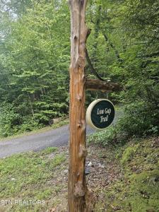 231 Low Gap Tr, Townsend, Tennessee 37882