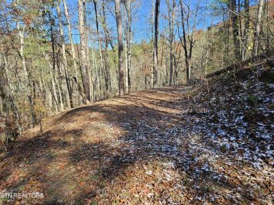 231 Low Gap Tr, Townsend, 田納西州 37882, 美國