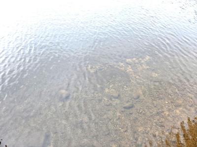 24135 Beaver Station Rd., Watersmeet, ウィスコンシン 49969, アメリカ合衆国