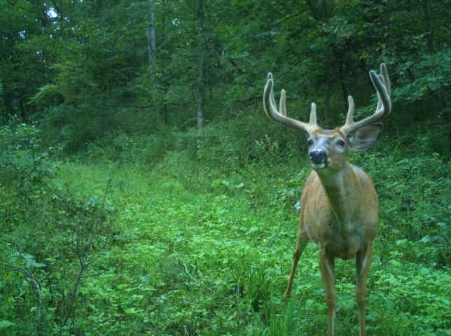 32974 Potter Lane, Muscoda, Wisconsin 53573, Estados Unidos