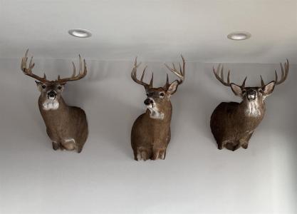 32974 Potter Lane, Muscoda, Wisconsin 53573, Estados Unidos