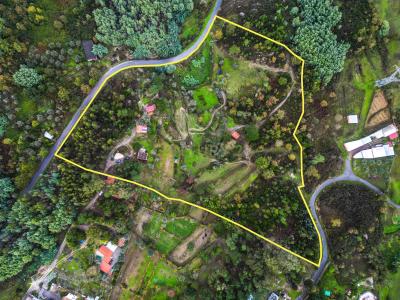 Tábua, Coimbra 3420-457, Portugal