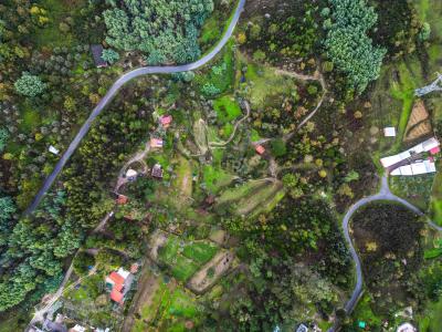 Tábua, Coimbra 3420-457, Portugal