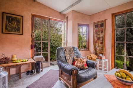 Tábua, Coimbra 3420-457, Portugal