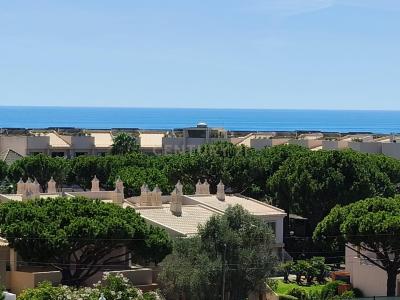 阿爾布費拉, 法如 8200-269, 葡萄牙