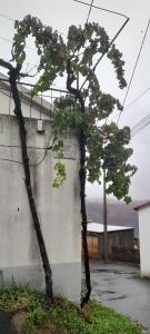 Pampilhosa Da Serra, Coimbra 3320-051, Portugal