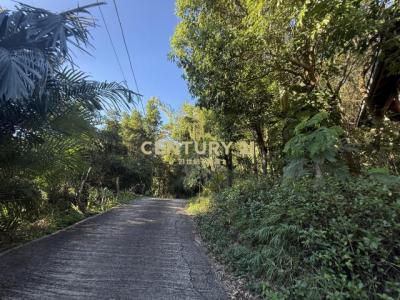 石門段, Xinpu Township, Hsinchu County 305, Taiwan