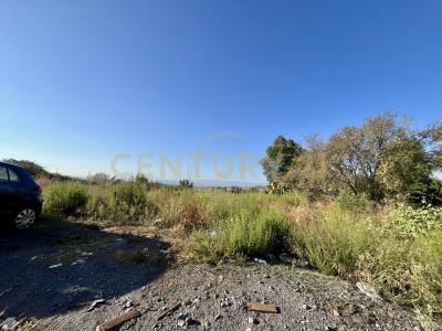 Motta Sant'Anastasia, Sicilia 95040, Ý