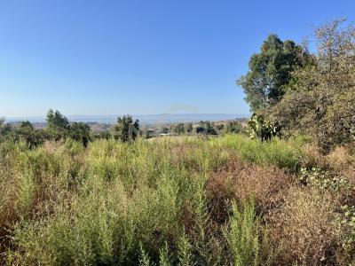Motta Sant'Anastasia, Sicilia 95040, Ý