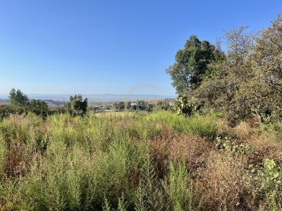 Motta Sant'Anastasia, Sicilia 95040, Ý