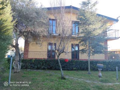 Belpasso, Sicilia 95032, Ý