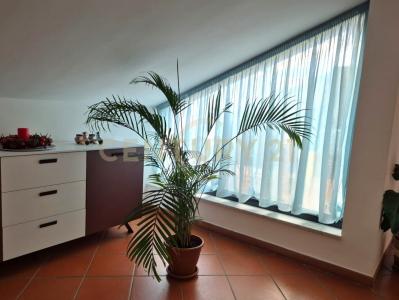 Mascalucia, Sicilia 95030, Italy