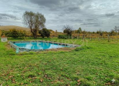 località i chiostri, Piancastagnaio, Toscana 53025, Italy