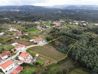 Vila Nova De Poiares, Coimbra 3350-029, Portugal