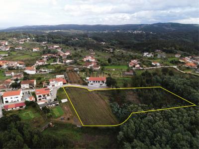 Vila Nova De Poiares, Coimbra 3350-029, Portugal