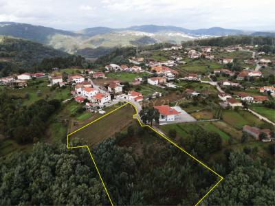 Vila Nova De Poiares, Coimbra 3350-029, Portugal