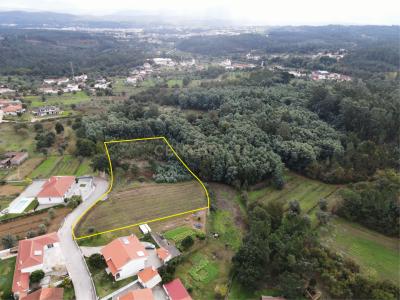 Vila Nova De Poiares, Coimbra 3350-029, Portugal