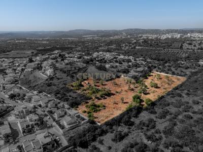 Loulé, Faro 8100-247, Portugal