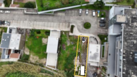 Vila Franca do Campo, São Miguel Island 9680-103, Portugal